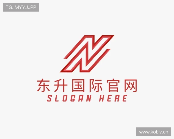 关于东升国际官网